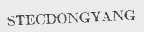 STECDONGYANG