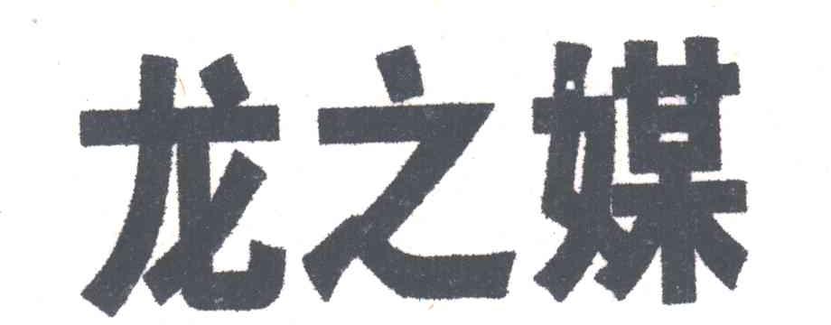 龙之媒