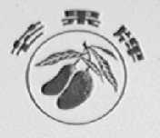 芒果