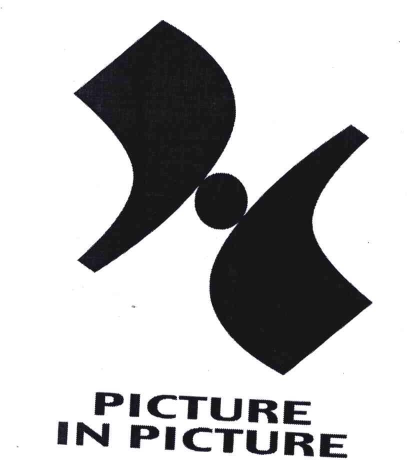 PICTURE IN PICTURE