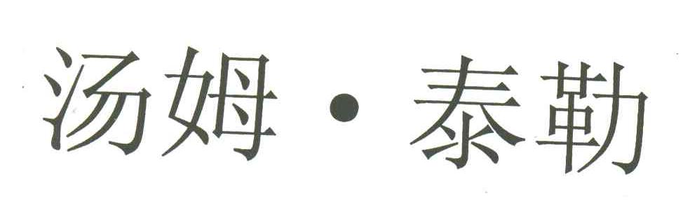 汤姆泰勒