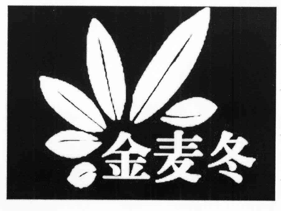 金麦冬