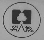 华棉