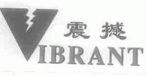 震撼;VIBRANT