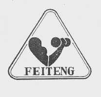 FEITENG