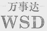 万事达  WSD