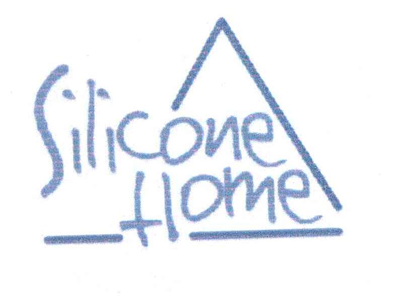 SILICON HOME