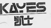 凯士