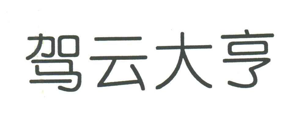 驾云大亨