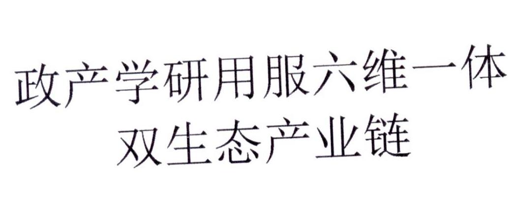 政产学研用服六维一体双生态产业链