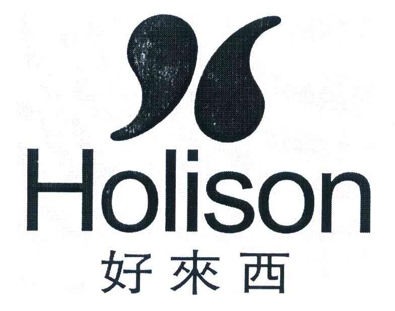 好来西 HOLISON
