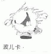 波儿卡