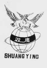 双鹰