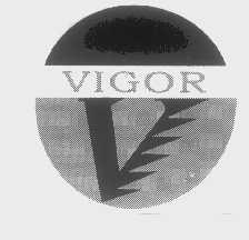 VIGOR