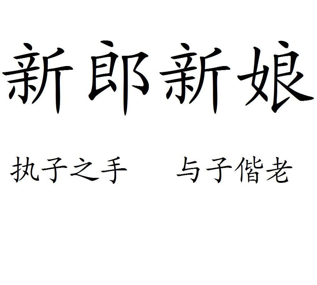 新郎新娘 执子之手与子偕老