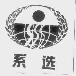 系选