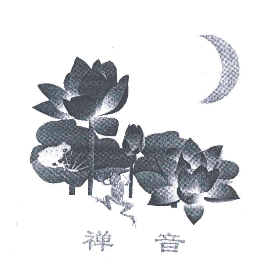 禅音