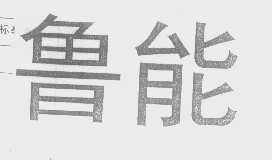鲁能