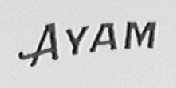 AYAM