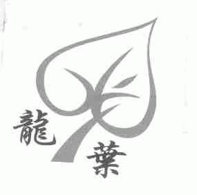 龙叶