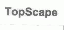 TOPSCAPE