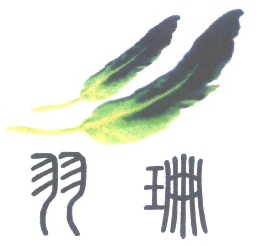 羽珊