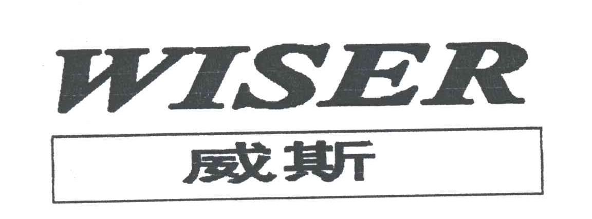 威斯;WISER