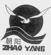 朝阳