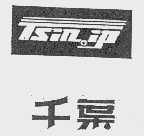 千叶   TSINIP
