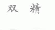 双精