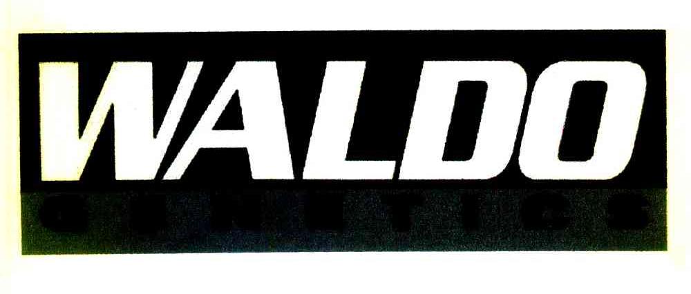 WALDO