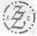 真正