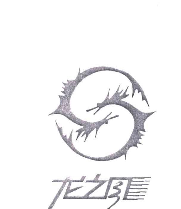 龙之风