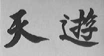 天游