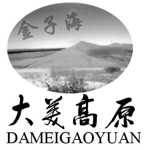 大美高原 金子海