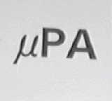UPA