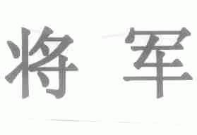 将军