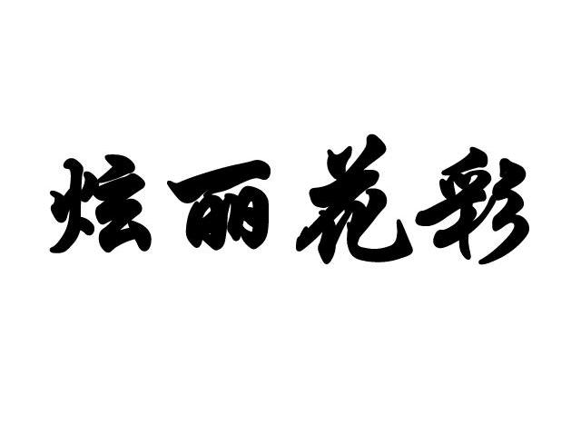 炫丽花彩