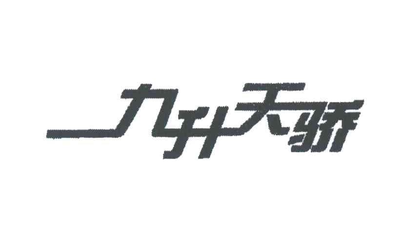 九升天骄