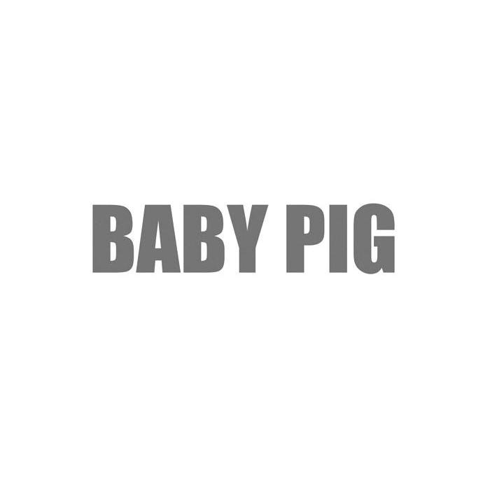 BABY PIG