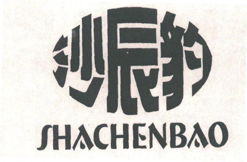 沙辰豹