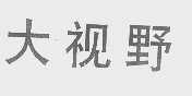 大视野