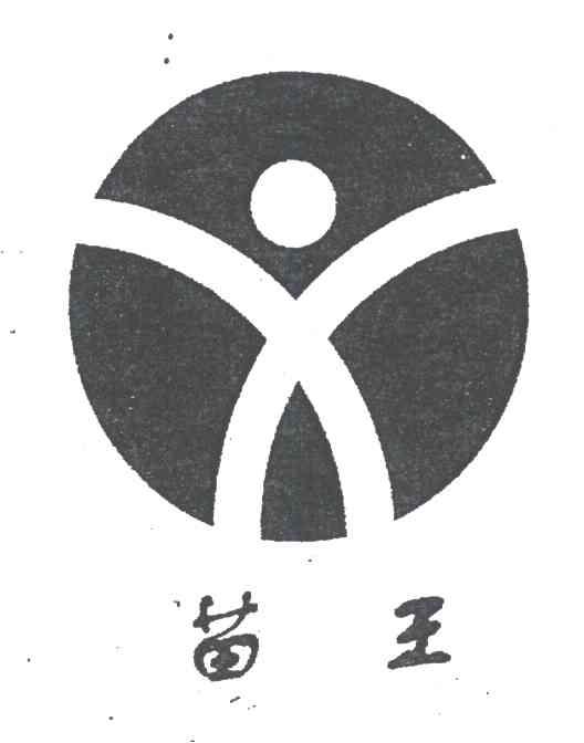 苗王