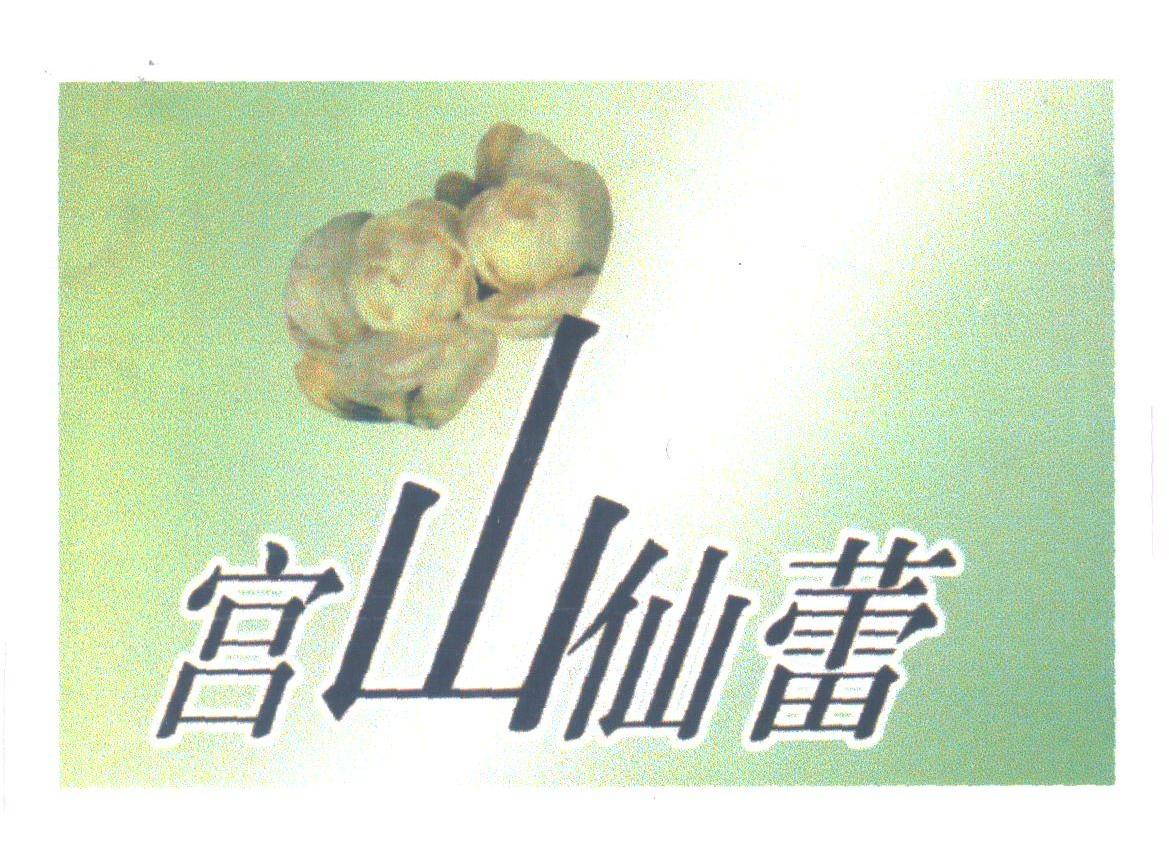 宫山仙蕾