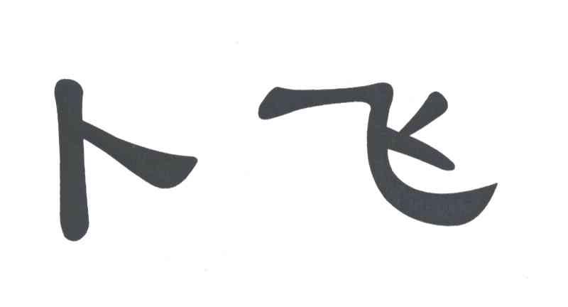 卜飞