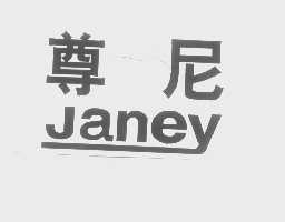 尊尼   JANEY