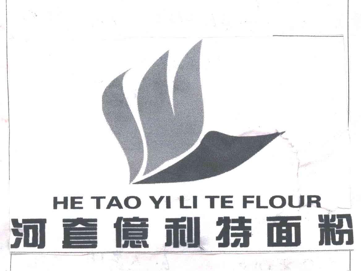 河套亿利特面粉