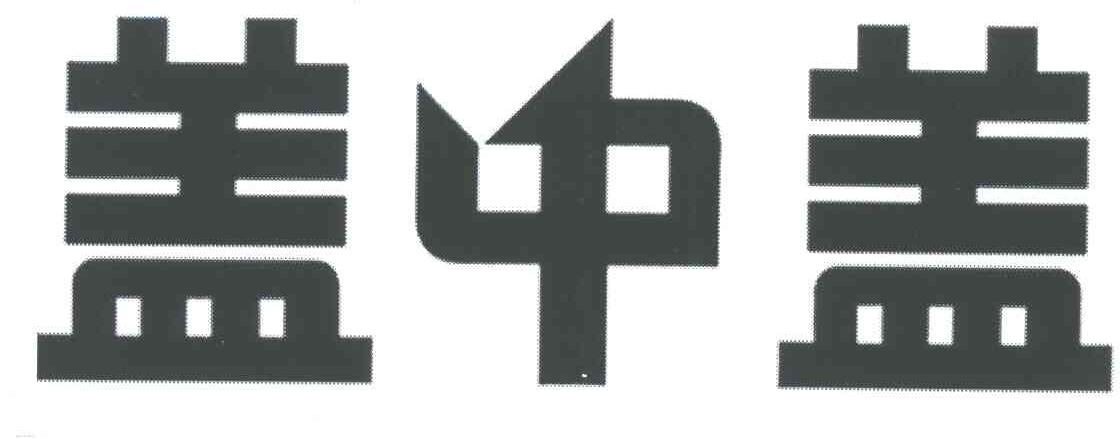 盖中盖
