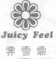 霁雪霏;JUICY FEEL