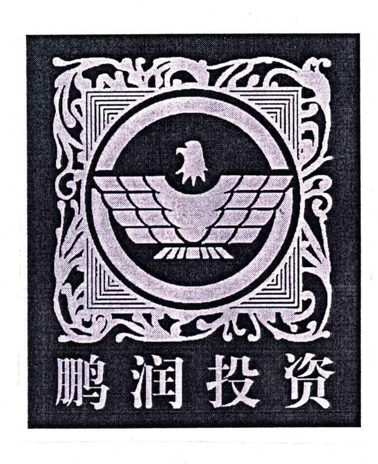 鹏润投资